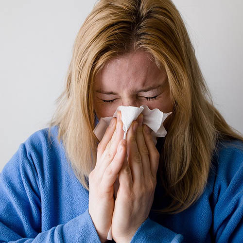 Vue interieure de la Pharmacie Goma